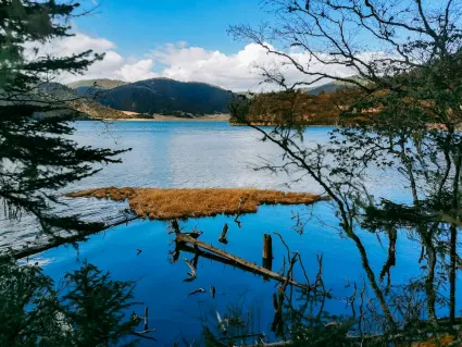 77spins Casino Mobiele App